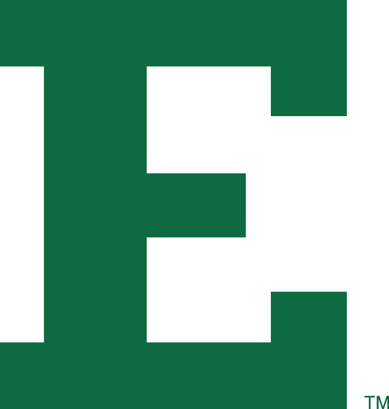 Eastern Michigan Eagles 1995-2001 Alternate Logo DIY iron on transfer (heat transfer)